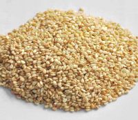 Organic Hulled Sesame Seed White