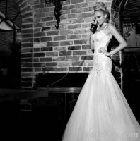 Sell lace mermaid princess wedding dress bride dress  retail & wholesale