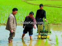 2rows manual rice planter/farm machine paddy transplanter/rice seeding