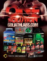 Sell-Work Out Supplement