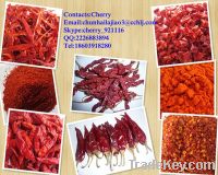 kinds of chilli and garlic products with high quality