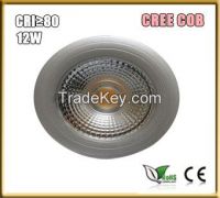 12W COB Par38 Light