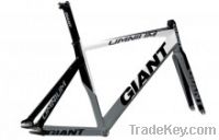 Giant Omnium 2011 Frameset