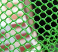 plastic diamond Hexagonal mesh/fence/ grass reinforcement protection mesh