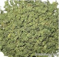 Sell gynostemma extract