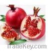 Sell  Pomegranate Juice Powder