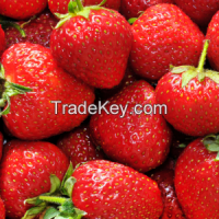 Fresh Strawberry Fruits From South Africa