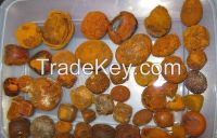 ox and cow gallstones