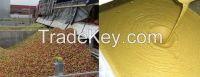 Apple Puree Concentrate with High Quality