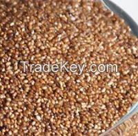 High Quality Teff Grain