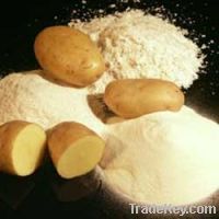 Sell Cheap & High Quality Potato Starch