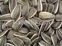 Sunflower Seeds