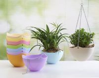 Sell new design of PP flowerpots with Roman Style