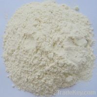 Dehydrated Onion powder