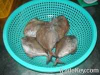 Sell Black Pomfret whole round