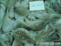 Sell Octopus whole clean