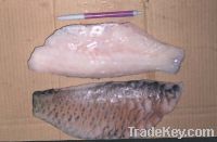 Sell Frozen Parrot fish fillet