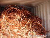 Copper Scraps Suppliers | Copper Scrap Exporters | Copper Scrap Manufacturers | Cheap Copper Scrap | Wholesale Copper Scraps | 99.99% Copper Wire Scrap| Millberry Copper Scrap | Cheap Copper Scrap | High Purity Copper Scrap | Bulk Copper Scraps | Copper S