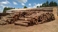 Pine logs