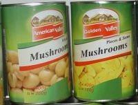 High quality canned mushroom/canned whole&PNS mushroom