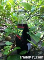 Sell Mulberry Pomelo Juice