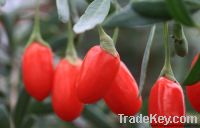 Sell goji berry