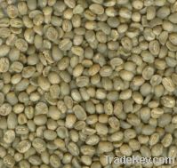 Export Coffee Beans | Arabica Coffee Beans Suppliers | Robusta Coffee Beans Exporters | Coffee Bean Traders | Wholesale Coffee Beans | Buy Coffee Beans | Bulk Coffee Bean | Green Coffee Bean Buyer | Low Price Roasted Coffee Bean | Import Coffee Bean | Cof