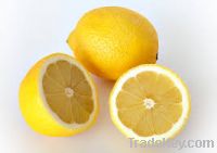 Seedless lemon in hot sales season