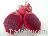 We want to sell red dragon fruit in hot season