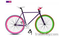 Hot Sale 700C Single Speed Fixed Gear Bicycle/Bike