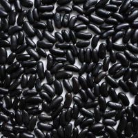 High Quality Black Kidney Beans For Sale
