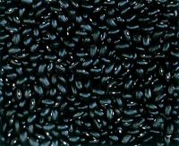 Wholesale Black Kidney Bean From Kenya Competive price.