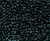 Wholesale Black Kidney Bean From Kenya