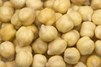 Crop 2015 Kabuli Chickpeas at competitive prices