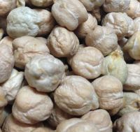 Hot Sale Kabuli Chickpeas