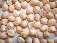 Best Price for Kabuli Chickpeas