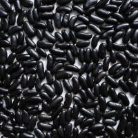 Organic vegetables seeds black beans