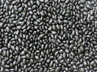 Bulk Dried Black kidney beans