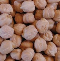 Kabuli chickpeas Best Quality Competitive Price