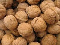 Wholesale Grade A Thin shell walnuts