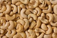 Raw Cashew Nuts - For Free Samples