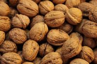 Organic Grade A Thin shell walnuts