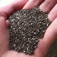 Chia seeds