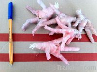  Export Chicken Paw | Chicken Feet Suppliers | Poultry Feet Exporters | Chicken Feets Traders | Processed Chicken Paw Buyers | Frozen Poultry Paw Wholesalers | Low Price Freeze Chicken Paw | Best Buy Chicken Paw | Buy Chicken Paw | Import Chicken Paw | Ch