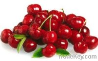 FRESH CHERRIES AND BERRIES FRUITS FOR SALE supplied from Germany
