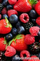 Sell Fresh berries supplied from Germany