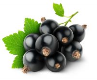 Sell Blackcurrant natural Aroma