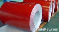 Prepainted / Color Coated Galvanized / Galvalume Steel Sheet & Coil