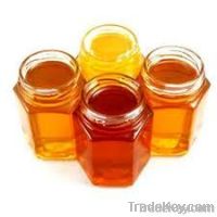 Sell Pure Natural Honey