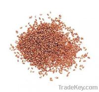 Teff Grains